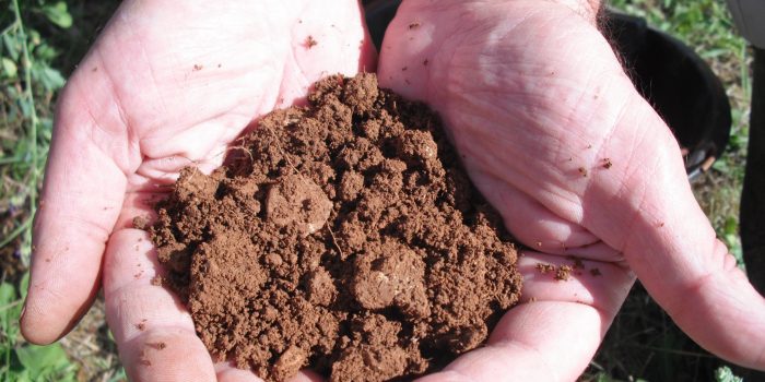 Sol-vivant-cda-agro-ecologie