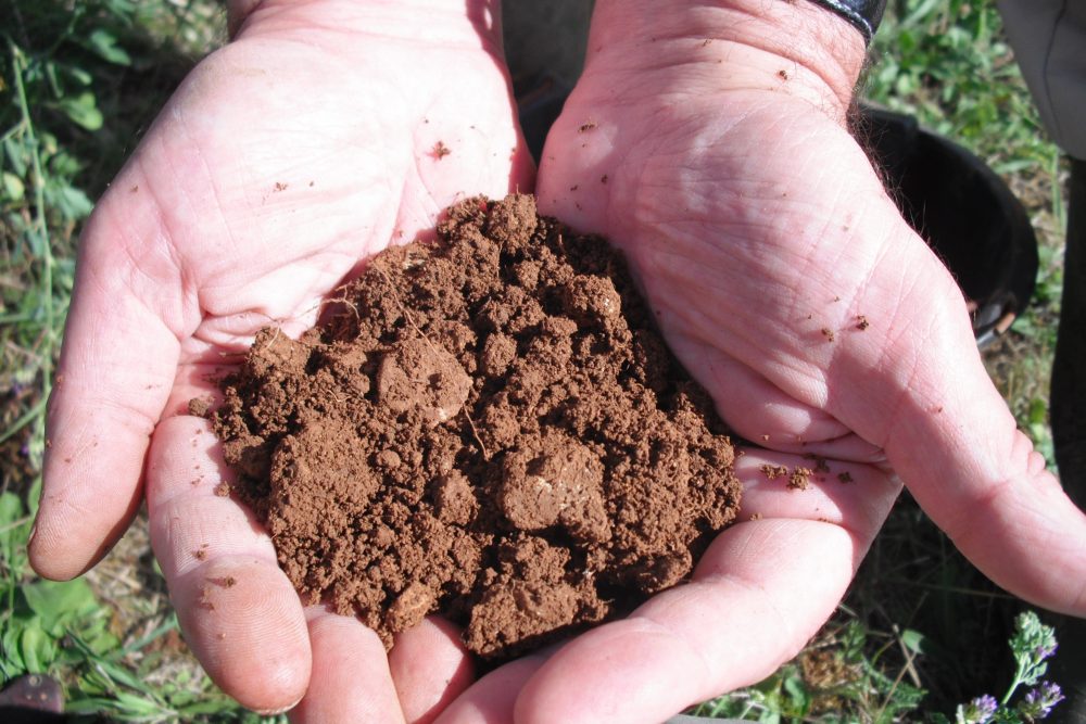 Sol-vivant-cda-agro-ecologie