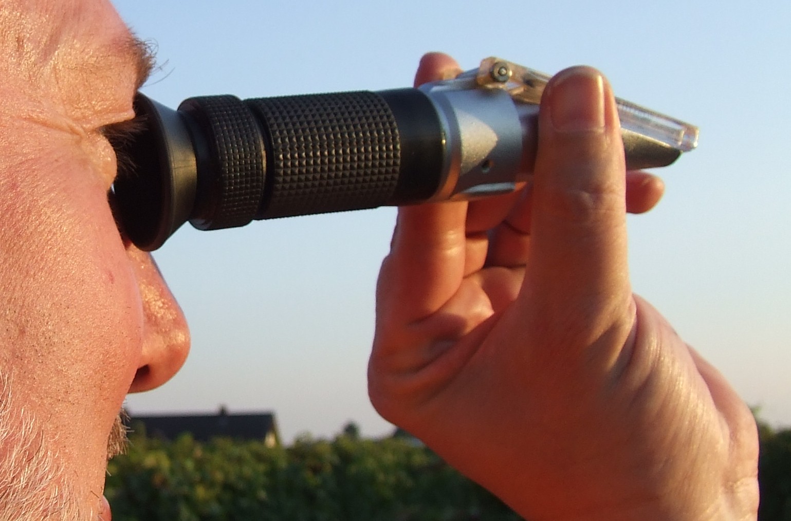Une Nouvelle Stratégie Contre Les Insectes Ravageurs, Plutôt Prévenir Que Guérir !