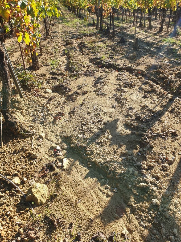 erosion-de-ses-parcelles