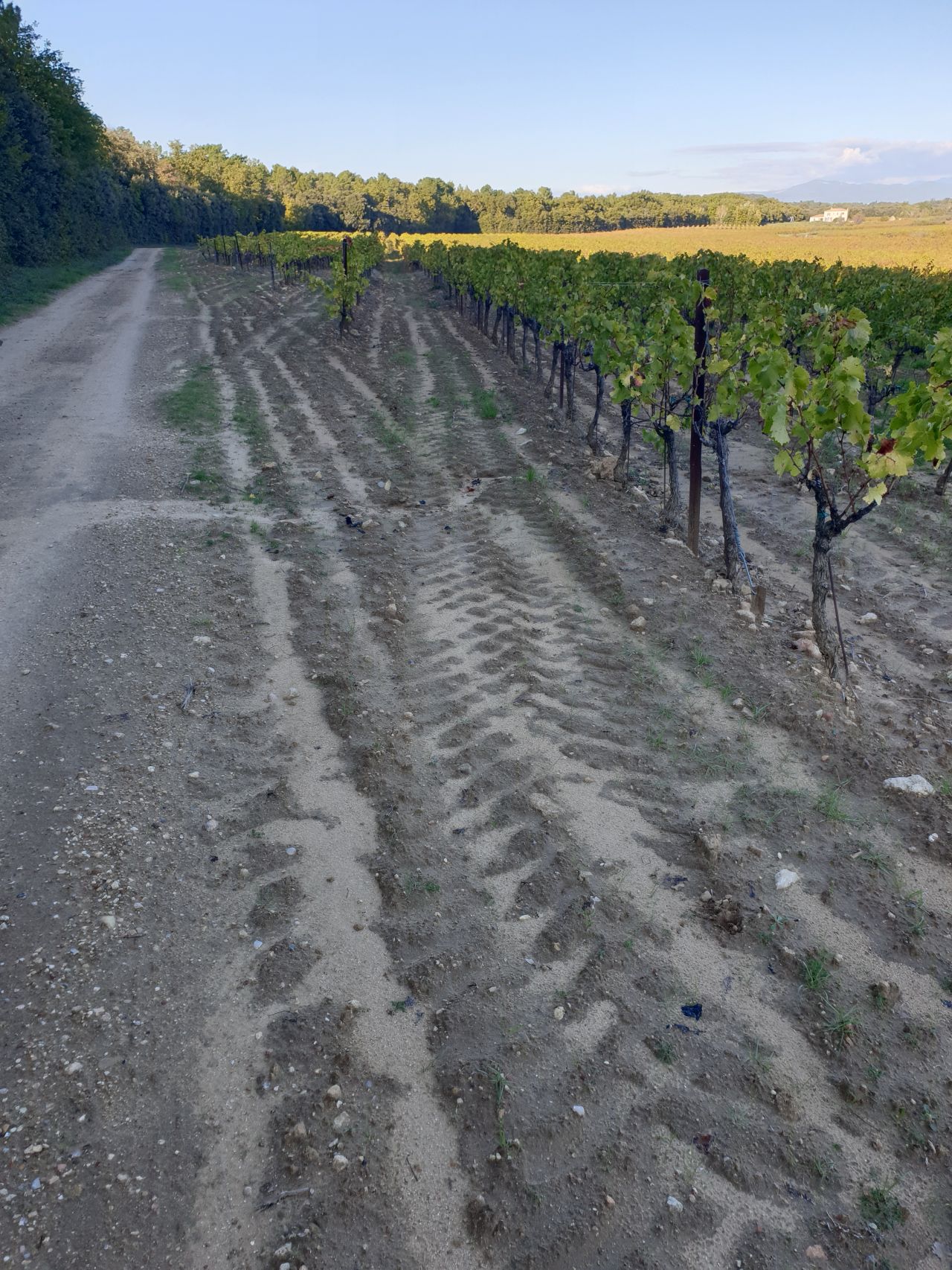 lutter-contre-l-erosion-pluie