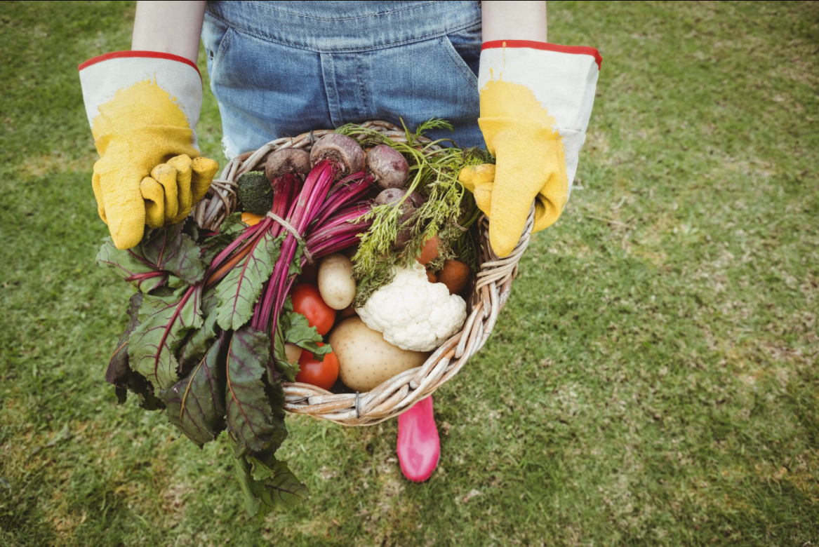 Market Gardening On Living Soil, What Is It?