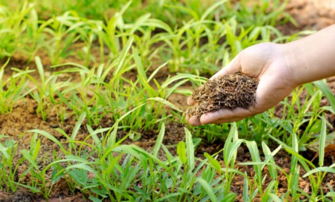 biostimulants-agroecologie