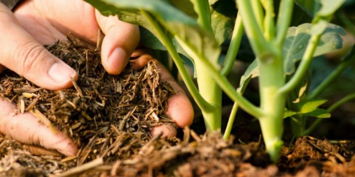 Agroécologie