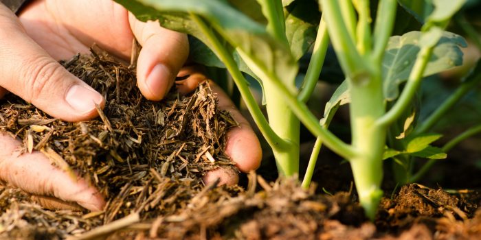 Agroecology