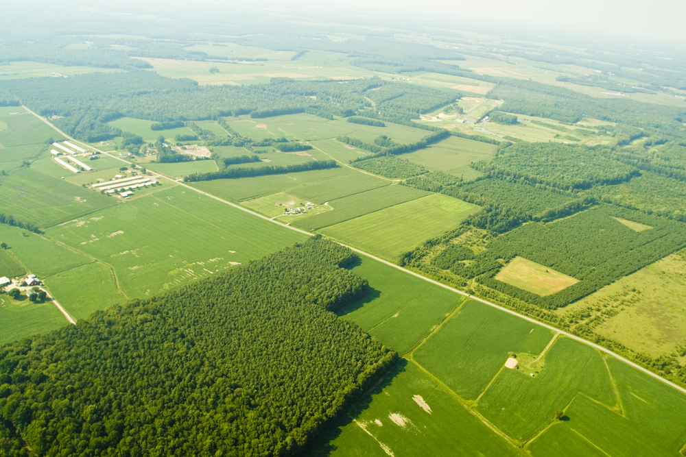 agronomes